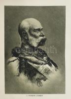 A Nagy Háború írásban és képben I-VII. kötet, teljes. Első rész: Északon és délen I-IV. Második rész...