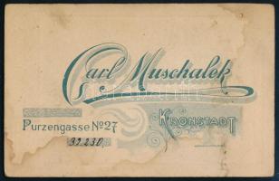 cca 1910 Női portré, keményhátú fotó Muschalek brassói (Kronstadt) műterméből, foltos, 11×7 cm