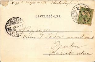 1903 Herkulesfürdő, Baile Herculane; Gyógyterem sétánya. Divald Károly kiadása / Curpark / spa, prom...