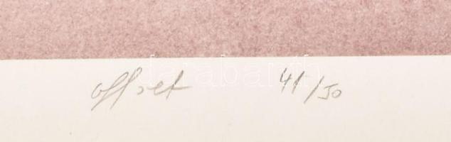 Szirányi István (1951-): Próbacsíkok, 1985. Ofszet, papír, jelzett, 41/50 számozással, 39×28 cm