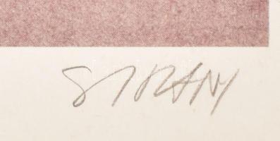 Szirányi István (1951-): Próbacsíkok, 1985. Ofszet, papír, jelzett, 41/50 számozással, 39×28 cm