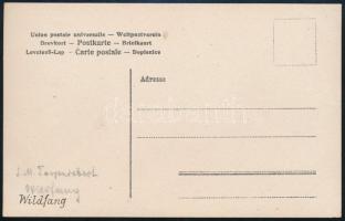 Az S.M.S. Wildfang osztrák-magyar hadihajó. Fotólap / Black-and-white photo postcard showing S.M.S. ...