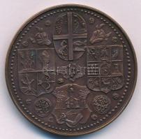 Tóth Sándor (1933-2019) 1985. "Szabolcs vezér - Nyíregyháza" kétoldalas bronz emlékérem (4...