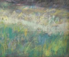 Jelzés nélkül, XX. sz. közepe: Balatoni részlet Tihanynál (Sajkod?). Pasztell, papír. Dekoratív, üve...