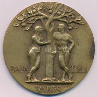 Pátzay Pál (1896-1979) DN Baja T.H.J. (Törvényhatósági jogú) Város bronz emlékérem, hátoldalán LUDVIG BP. gyártói jelzéssel (59mm) T:AU patina