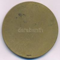 Pátzay Pál (1896-1979) DN "Baja T.H.J. (Törvényhatósági jogú) Város" bronz emlékérem, háto...