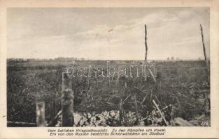 Military WWI Russian occupied area on the eastern frontline (Rb)