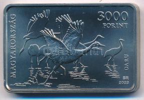 2023. 3000Ft Cu-Ni "Hortobágyi Nemzeti Park" kapszulában T:BU