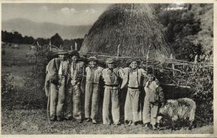 Carpatho Ukrainian shepherds (fa)