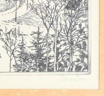 Rozanits Tibor (1931-): Kilátás a Gellérthegyről. Rézkarc, papír, jelzett. Üvegezett keretben 29x38 ...