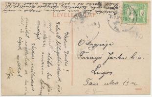 1910 Orsova, Petróleumgyár, iparvasút, vonat, gőzmozdony / petroleum factory, industrial railway, tr...