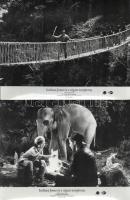 cca 1984 ,,Indiana Jones és a végzet temploma" című amerikai film jelenetei és szereplői, 8 db ...