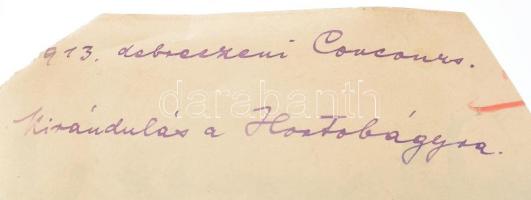 Az Andrássy, Odelsachi és Esterházy családok tagjait ábrázoló fotók, némelyik feliratozva, kiábrándu...