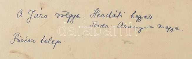 cca 1910-1920 Fűrésztelep a Jára völgyében (Torda-Aranyos vármegye, Erdély). Nagyméretű fotó kartono...