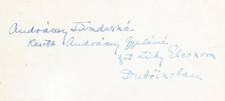 cca 1900 gróf Andrássy Tivadarné, szül. Zichy Eleonóra (1867-1945) Dubrinoban, nagyméretű fotó karto...