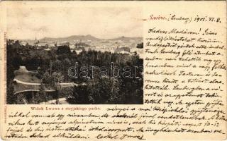 1901 Lviv, Lwów, Lemberg; Widok Lwowa z stryjskiego parku / general view, park (EK)