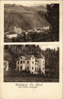 1930 Waldbach (Steiermark), Villa Pension Langenecker (EK)