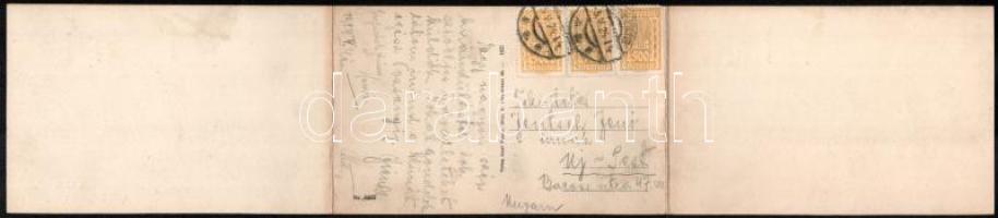 1924 Wien, Vienna, Bécs; Wien vom Kobenzl aus gesehen. 3-tiled folding panoramacard (fl)