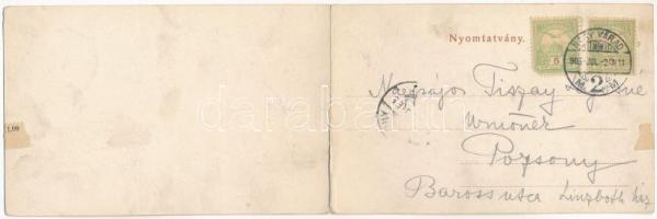 1903 Félixfürdő, Baile Felix; Park, vízesés és gyógyterem, nagyszálloda. Csasthó Gábor és Társa kiad...