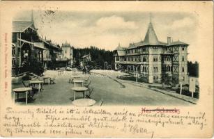 1900 Újtátrafüred, Neu-Schmecks, Novy Smokovec (Magas-Tátra, Vysoké Tatry); (EK)