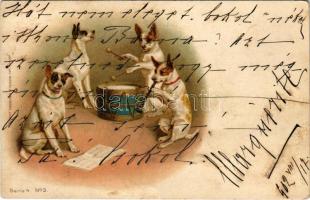 1902 Dog music band. Wezel & Naumann litho (EK)