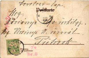 1902 Dog music band. Wezel & Naumann litho (EK)