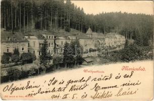 1901 Mariánské Lázne, Marienbad; Waldquellzeile, Villa-Bar / villas (fa)