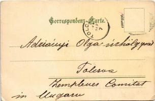 1901 Mariánské Lázne, Marienbad; Waldquellzeile, Villa-Bar / villas (fa)