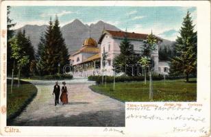 1902 Tátralomnic, Tatranská Lomnica (Magas-Tátra, Vysoké Tatry); Gyógyház. Feitzinger Ede 79 bt. Auto-Chrom / Curhaus / spa (EK)
