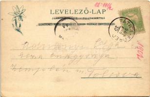 1902 Tátralomnic, Tatranská Lomnica (Magas-Tátra, Vysoké Tatry); Gyógyház. Feitzinger Ede 79 bt. Aut...