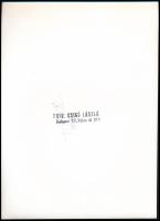 cca 1974 Csigó László budapesti fotóriporter és fotóművész pecsétjével jelzett, vintage fotóművészet...