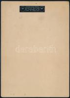 Farnham castle, Surrey, XIX. sz. Színezett metszet, papír, jelzés nélkül, kartonon, 8x10 cm