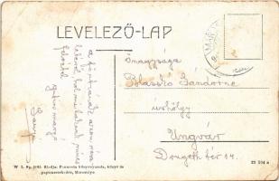 1917 Marosillye, Ilia; Fő utca, üzlet. W.L. Bp. 2085. / main street, shop (EB)