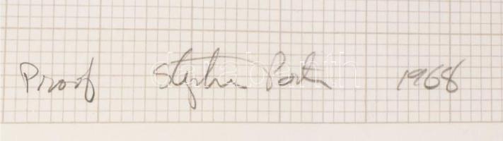 Stephen Porter (1941-): Párhuzamok (cím nélkül), 1968. Szitanyomat, papír, jelzett, próbanyomat. 73,...