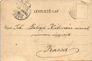 1904 Pelsőc, Pelsőcz, Pelsücz, Plesivec (Gömör); Korona szálloda és vendéglő, Faipar, Fő tér a város...