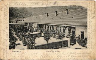 1906 Pelsőc, Pelsőcz, Pelsücz, Plesivec (Gömör); Blum-féle ideggyógyintézet. Pártos Mór kiadása / mental institution, psychiatric hospital + "DOBSINA - BÁNRÉVE 49. SZ." vasúti mozgóposta bélyegző (ázott sarkak / wet corners)