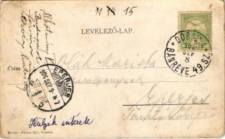 1906 Pelsőc, Pelsőcz, Pelsücz, Plesivec (Gömör); Blum-féle ideggyógyintézet. Pártos Mór kiadása / me...