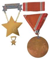 1965. "Szolgálati Érdemérem - A Haza Fegyveres Szolgálatában" 15 év után, zománcozott bron...