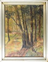 Tihanyi János Lajos (1892-1957): Táj, olaj, vászon, jelzett. Sérült. Dekoratív fakeretben, 80x60 cm