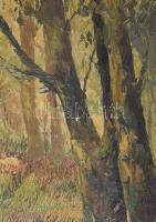 Tihanyi János Lajos (1892-1957): Táj, olaj, vászon, jelzett. Sérült. Dekoratív fakeretben, 80x60 cm