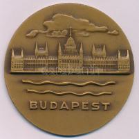 1971. "Budapest" egyoldalas bronz emlékérem, hátoldalán "Magyarország-Ukrajna válogatott atlétikai viadal, Budapest 1971" gravírozással (70mm) T:AU ph