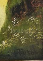 Olvashatatlan jelzéssel: Vitorlás. Olaj, vászon. Dekoratív, sérült fakeretben. 60x38,5 cm