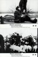 cca 1989 előtti ,,Disznó szerencse" című NDK-beli film jelenetei és szereplői, 5 db vintage produkciós filmfotó (vitrinfotó, lobbyfotó) ezüst zselatinos fotópapíron, a használatból eredő (esetleges) kisebb hibákkal, 18x24 cm