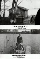 cca 1974 ,,Nádszál" című NDK film jelenetei és szereplői, 7 db vintage produkciós filmfotó (vitrinfotó, lobbyfotó) ezüst zselatinos fotópapíron, a használatból eredő (esetleges) kisebb hibákkal, 18x24 cm