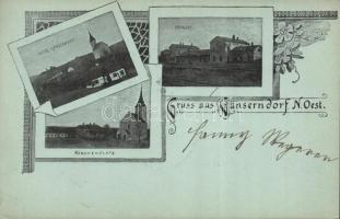 1899 Gänsendorf Railway-station Litho