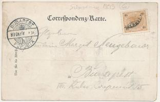 1899 (Vorläufer) Maribor, Marburg; Die Burg / castle (EM)