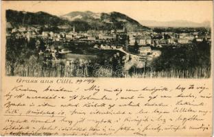 1899 (Vorläufer) Celje, Cilli; general view. Verlag Georg Adler (EK)