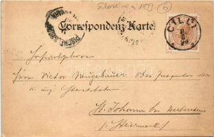 1899 (Vorläufer) Celje, Cilli; general view. Verlag Georg Adler (EK)