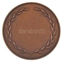 Ausztria DN "GEL ZU KEHL AMBTS SIE" kétoldalas bronz emlékérem (61mm) T:AU