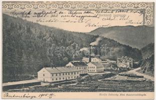 1905 Hermánd, Hermanecz, Harmanec; Papírgyár. Ivánszky Elek kiadása / paper mill, paper factory. Art Nouveau (EK)